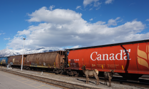 Erfahrung mit Viarail