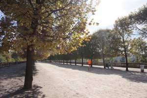 Jardin des Tuileries