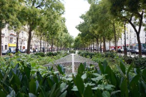 Marais Paris