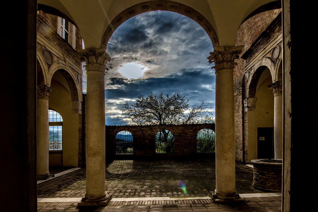 erasmus urbino 2