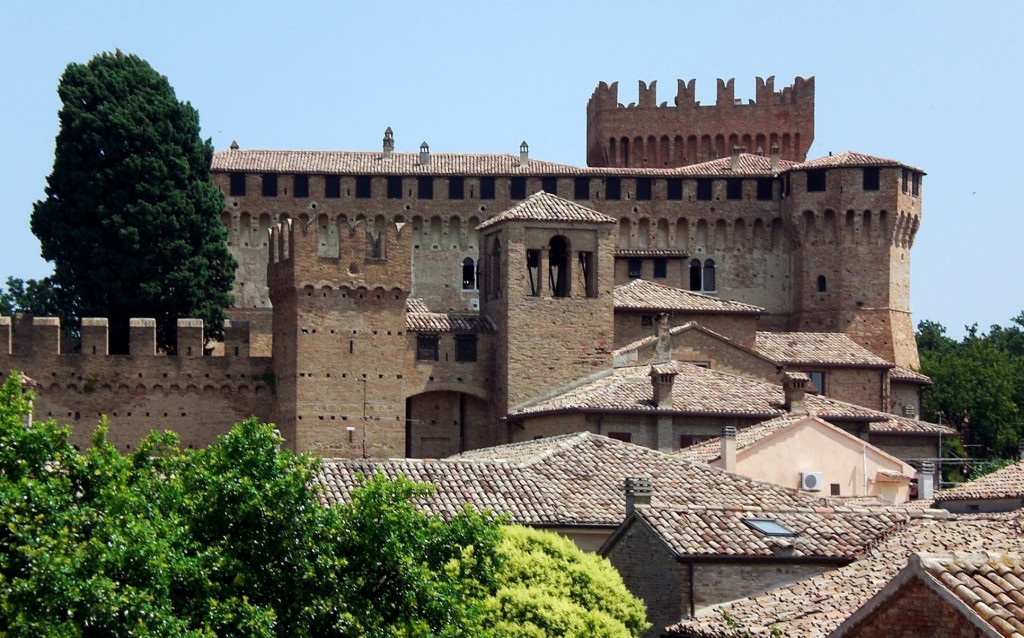 erasmus urbino 3
