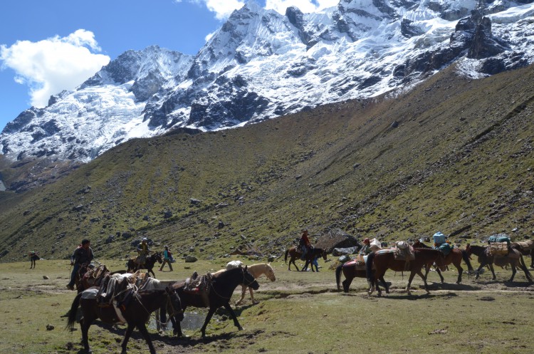 Salkantay Trek Erfahrung