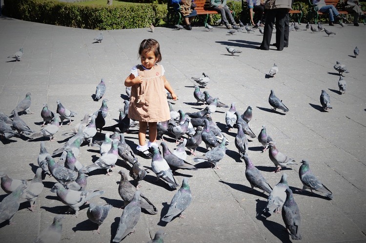 Plaza de Armas Arequipa 2