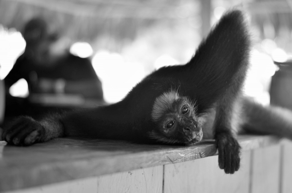 Iquitos Peru