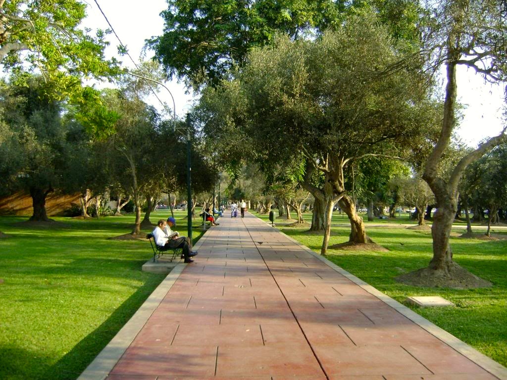 Parque el Olivar.