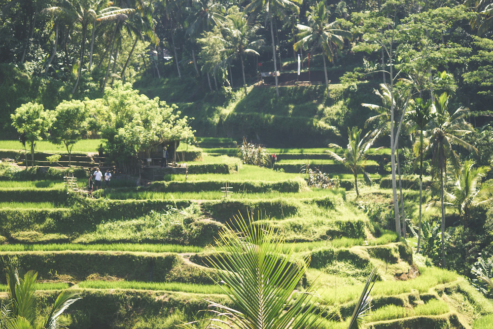 Leben in Bali